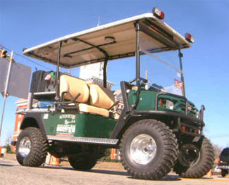Golf cart mini-ambulance